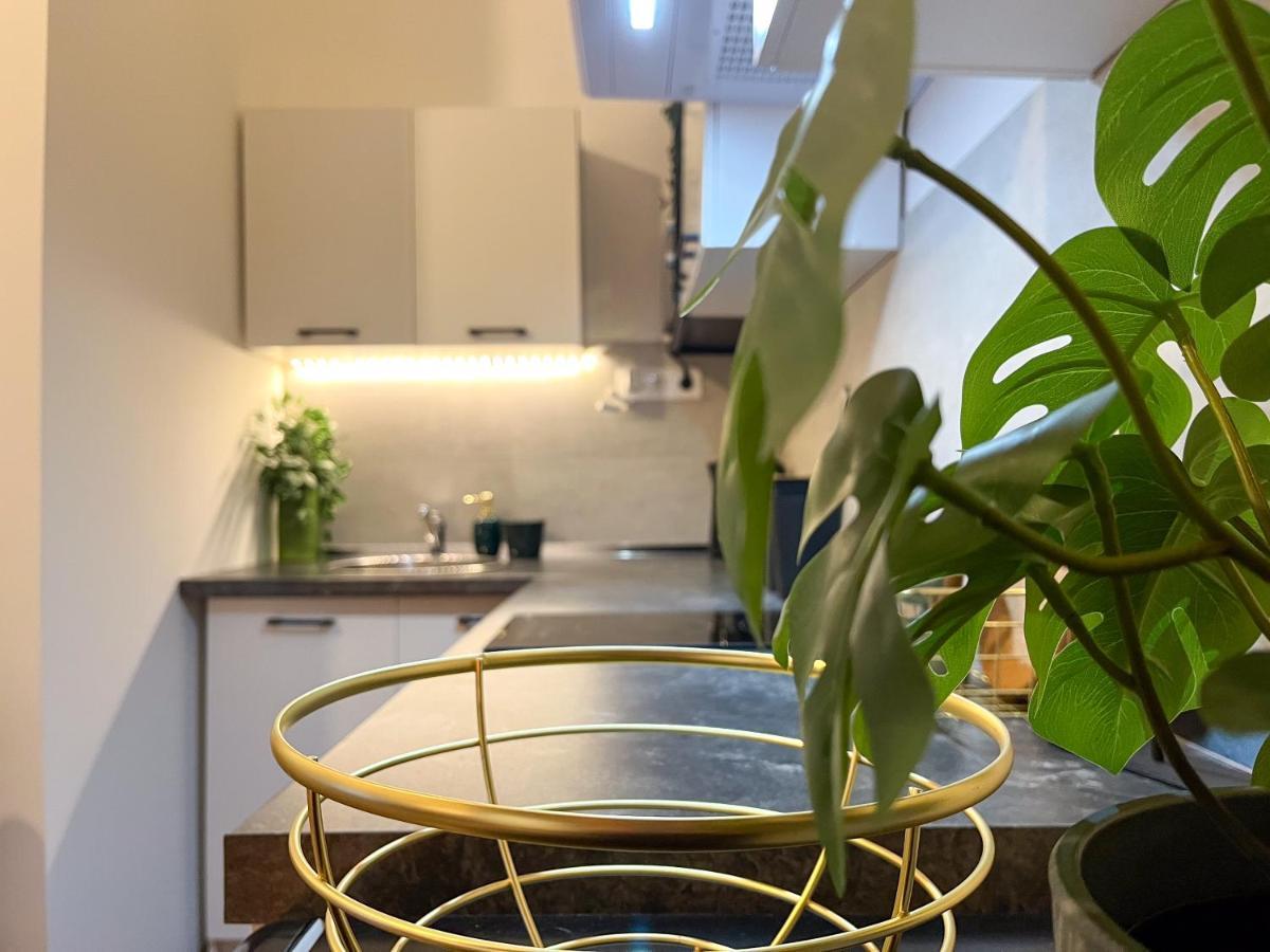 Green Goblin Apartment With Free Private Parking Budapest Esterno foto